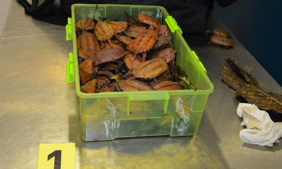 2014-7-7-13207 .foto.jpg